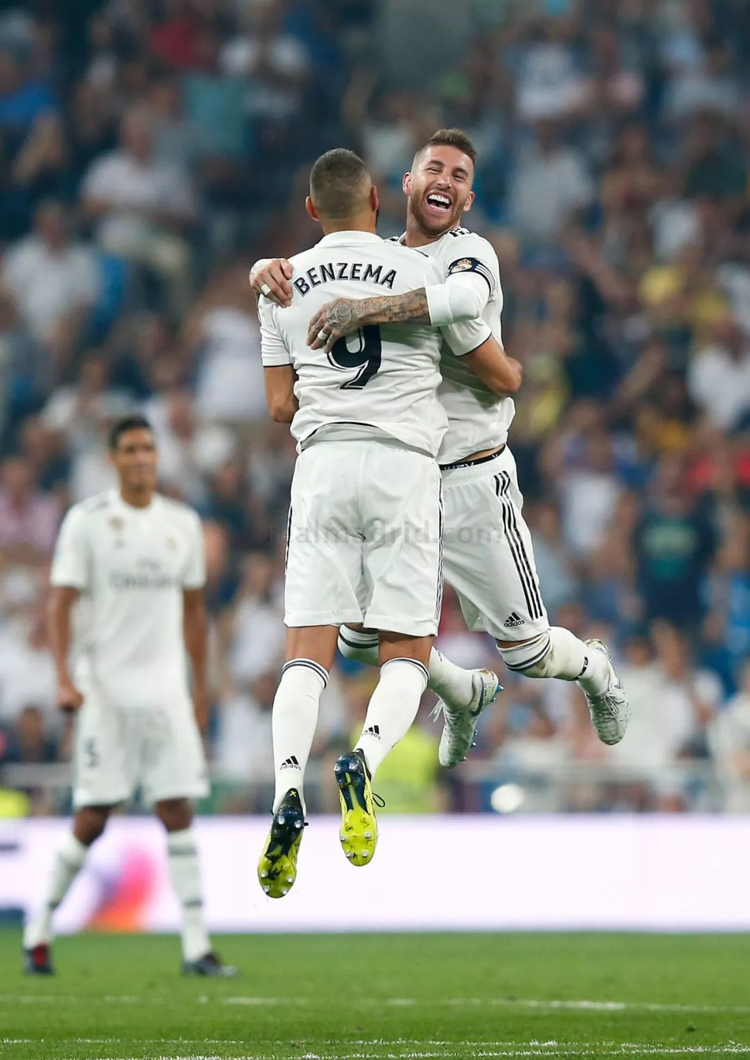 仅是一场关 仅是一场关